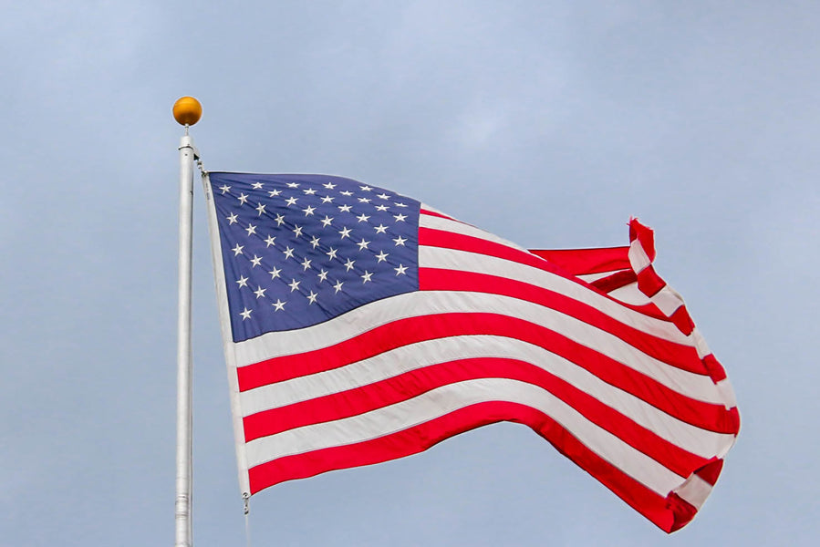 Finance Portal: Learn how to handle your IRS in this guide